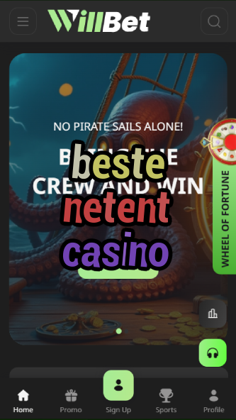 beste netent casino-asdasdzhjkds.com