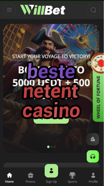 beste netent casino-asdasdzhjkds.com